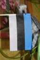 Eesti lipp ja papagoid 012-1